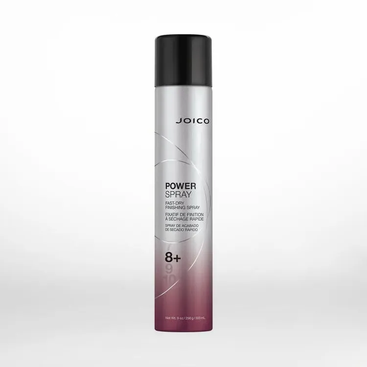 Power Finishing Fast-Dry Spray Spray